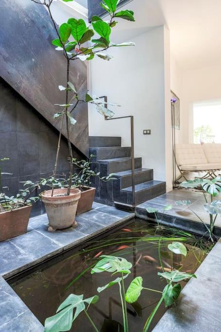 Elegante Duplex Centro Sevilla Matahacas 1 Extérieur photo
